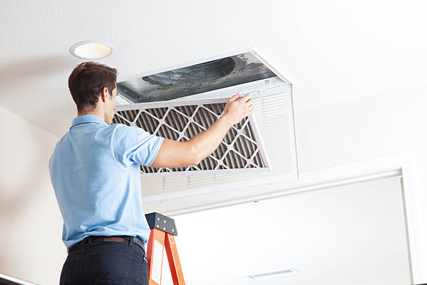 Best Air Filters and Purifiers in Kingsburg, CA